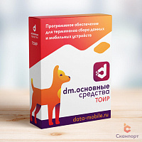 DM.Основные средства: DM.ТОИР картинка от магазина Кассоптторг