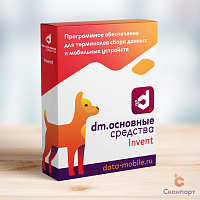 DM.Основные средства: DM.Invent картинка от магазина Кассоптторг